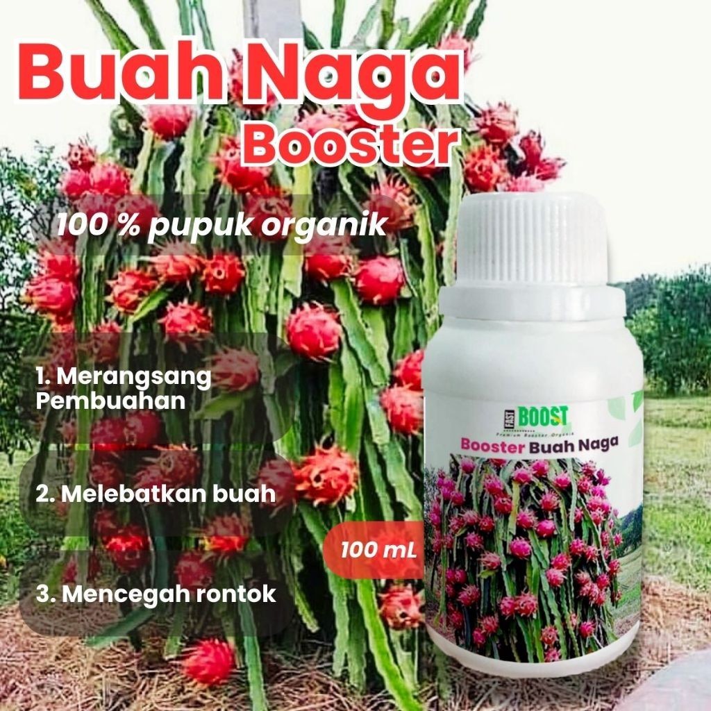 Alltechshop_ Pupuk Booster Buah Naga 100Ml Perangsang Hormonik Cepat Berbuah Lebat Murni Fermentasi