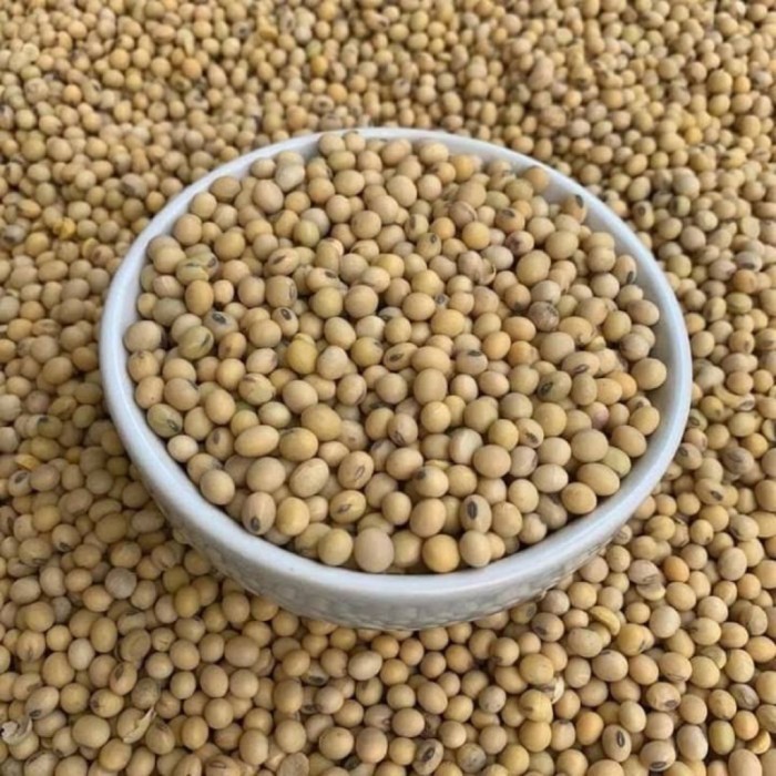 

HEMAT! kacang kedelai import 1kg