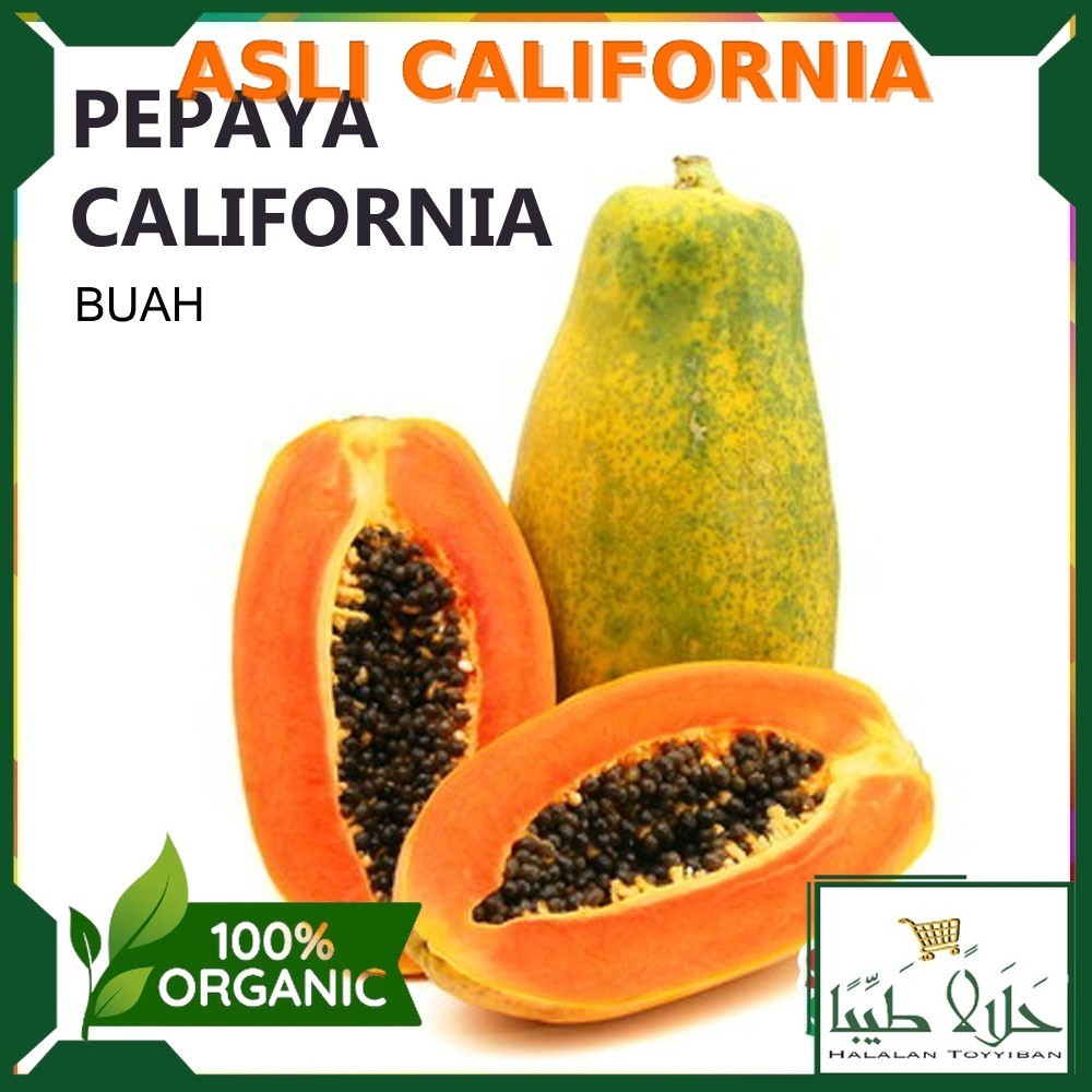 

Buah Pepaya California [1 Buah, ±] Per 1 Buah