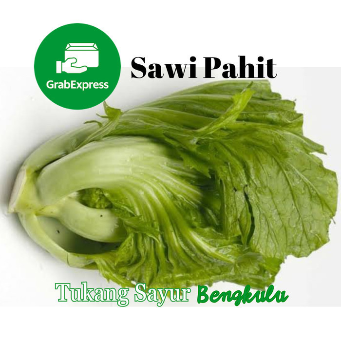 

Sawi Pahit 250gram Grab instan Tukang Sayur Bengkulu