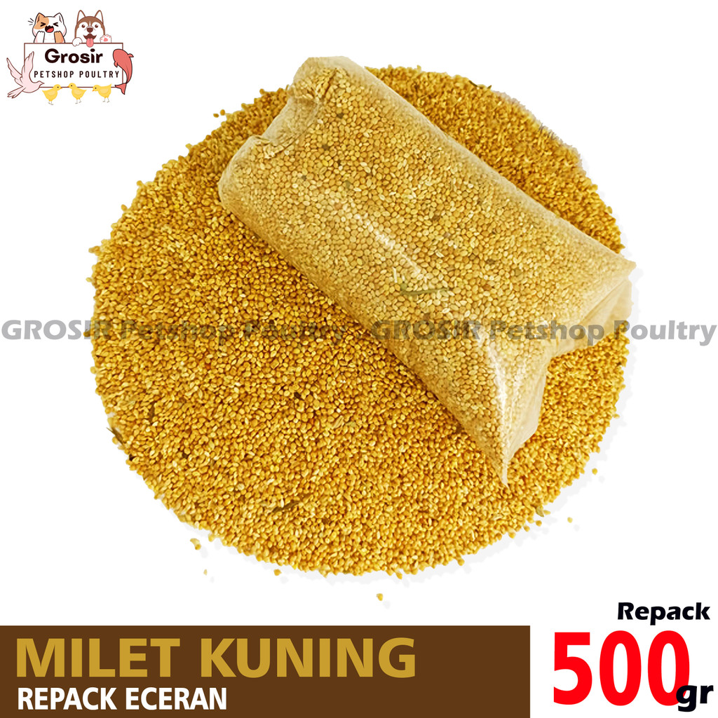 PAKAN BURUNG MILET CREAM KUNING PILIHAN GRADE A / MILET CREM MILET KUNING MURAH