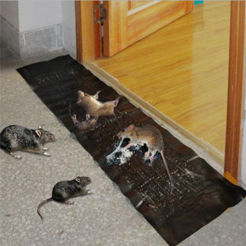 Anti Rat Large Big Sticky Glue Mat Rodents Moles Mouse Trap Rat Mice Trap Black Invisible Mouse Glue