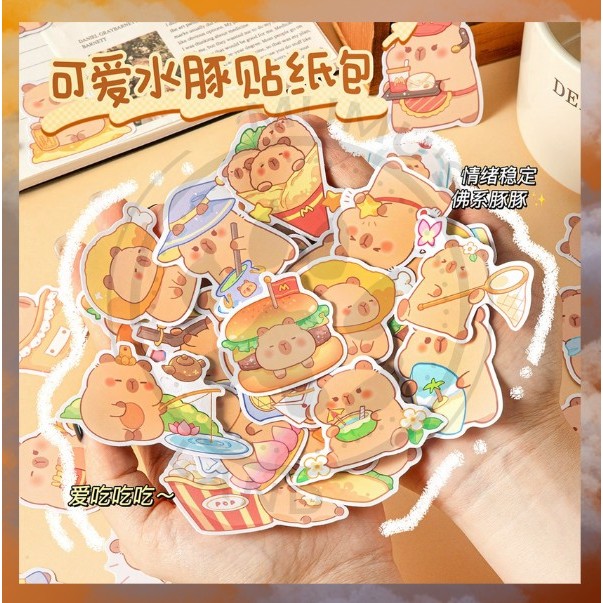 

MUMUSLAND Stiker BESAR 2d Botol Minum Viral Korea Anak Lucu Sticker Kapibara Motif Anti Air A-SK015