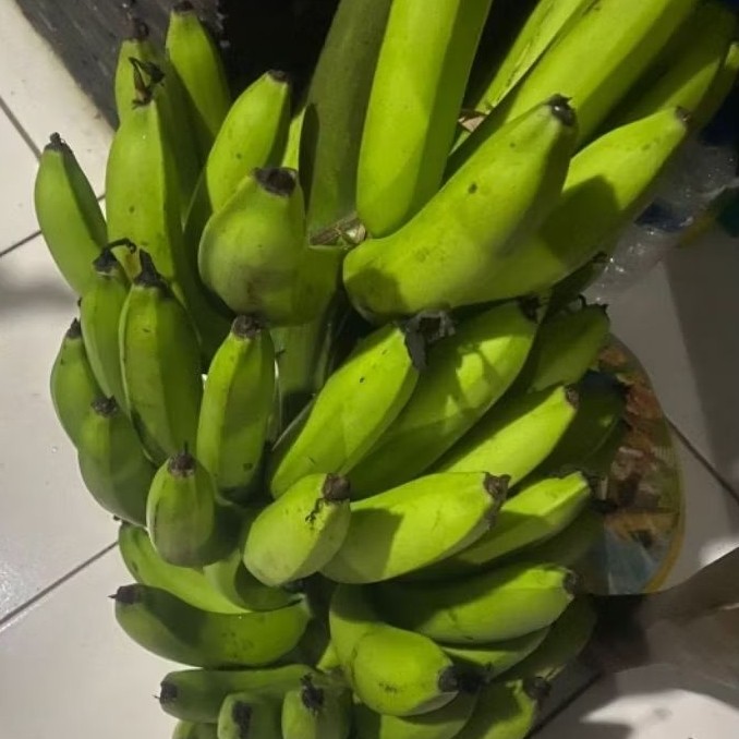 

Buah Pisang Mentah JYN FV Pisang Bangkaulu Fresh