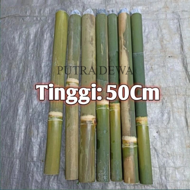 BAMBU OBOR / OBOR BAMBU / COLENG /BAMBU PENERANG / OBOR BAMBU 50 CM