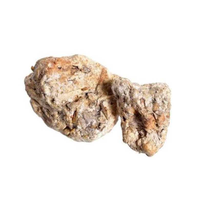 Ambergris Muntahan Paus Original 300 Gram