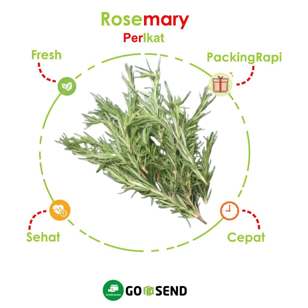 

ROSEMARY PACK MURAH / ROSEMARI LEAVES / FRESH VEGETABLES / VEGETABLE / SAYUR SAYURAN SEGAR