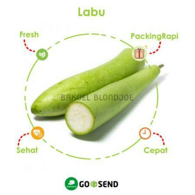 

LABU PUTIH PANJANG / WHITE PUMPKIN / FRESH VEGETABLES / VEGETABLE / SAYUR SAYURAN SEGAR BEST SELLER
