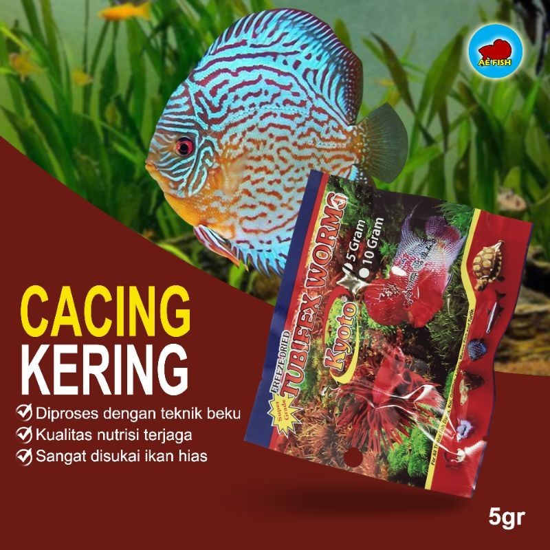 Cacing Kering Tubifex Pakan Ikan Hias Discus Cupang Louhan Guppy Kyoto 5gr