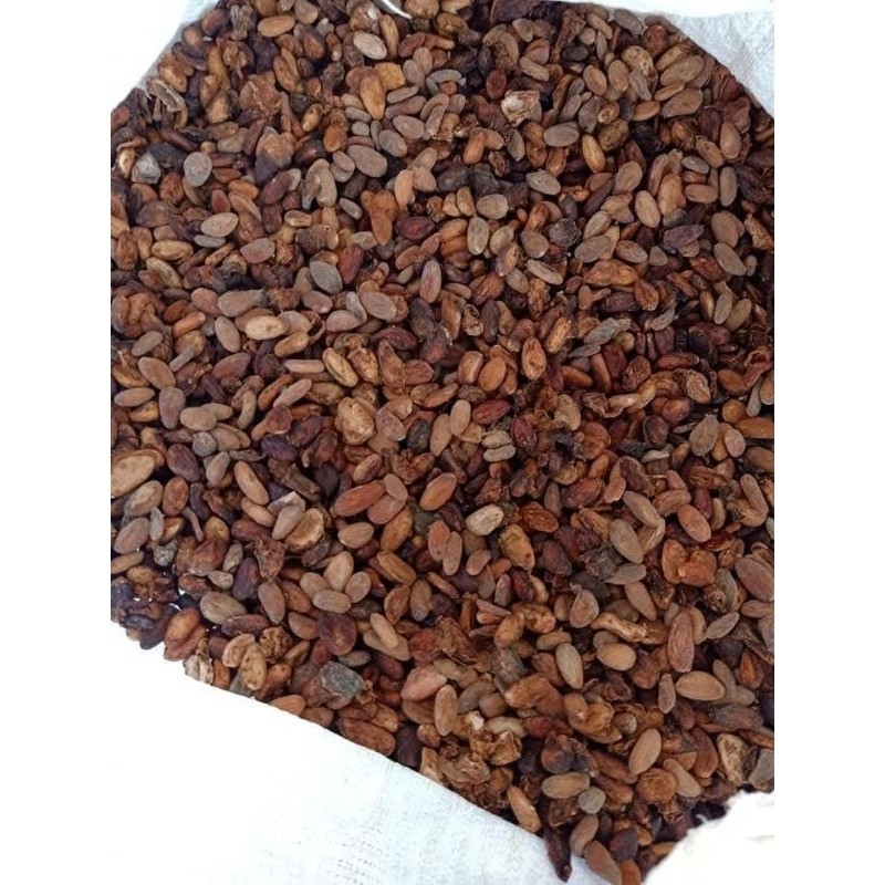 

jual 500gram biji coklat kering kualitas terbaik K. D Jaya J.Y.A Jya