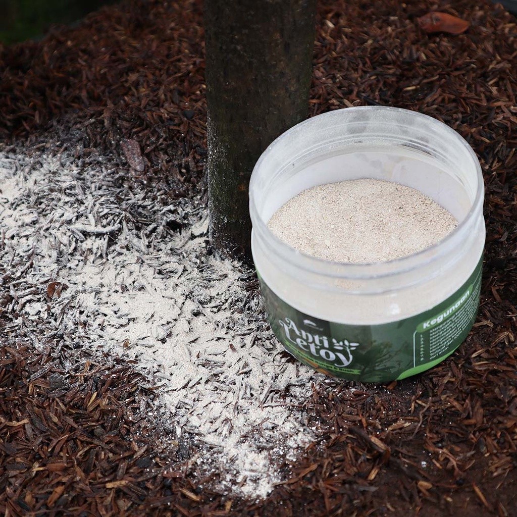 Liceriashop17 Anti Rontok Buah & Bunga Anti Lonyot Tanaman Bunga Dan Buah