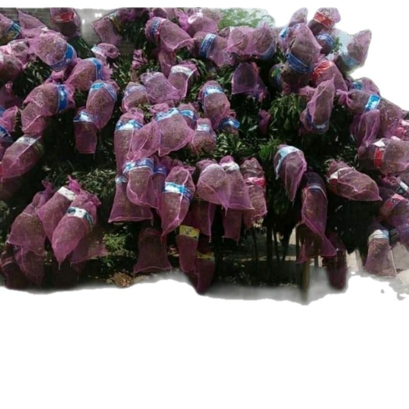 Karung Jaring Bawang 40x80 cm Isi 10 pcs Kondisi Baru Bahan Senar