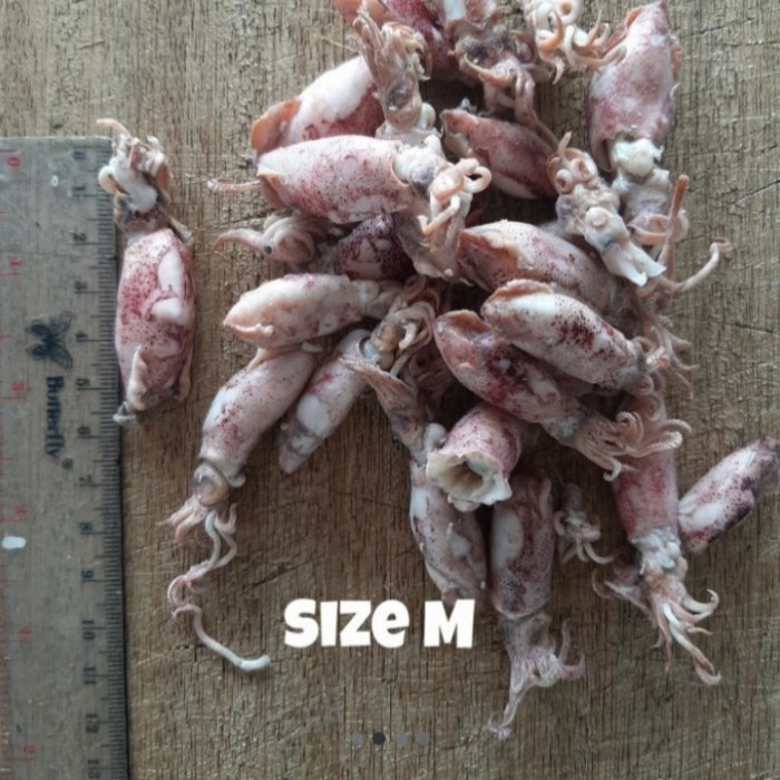 

ikan asin cumi baby/ kering/ jumbo/ empuk/ penyimpanan frezeer/ 1 kg