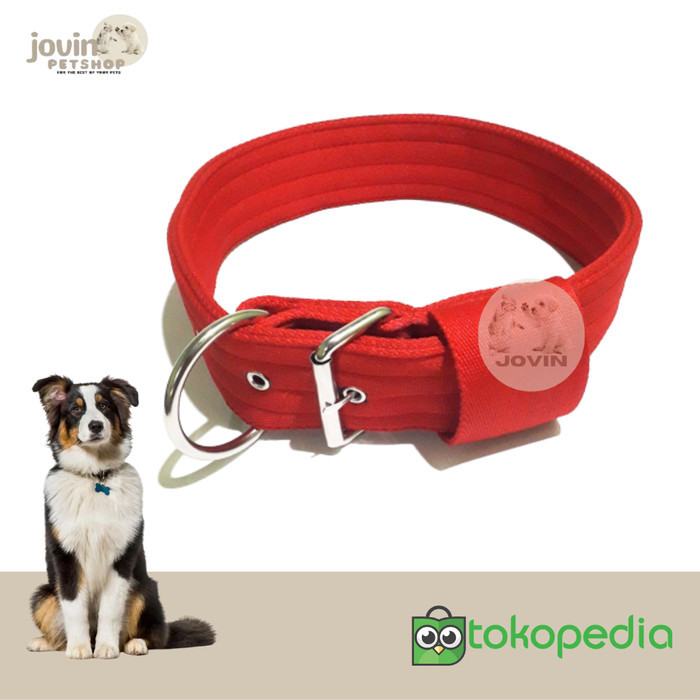 Kalung Anjing Besar Dog Collar
