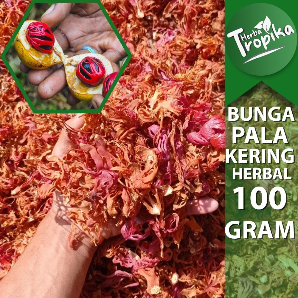

Bunga Pala Sempra fuli kering 100 gram rempah dan herbal alami toko herba tropika