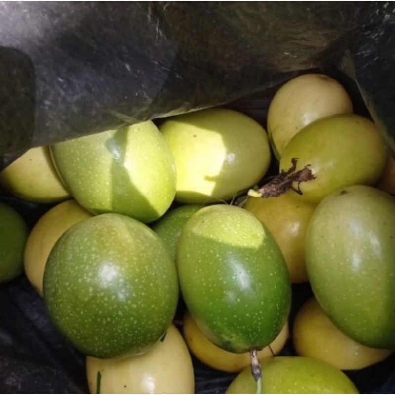 

buah markisa segar 1kg Rempah_herbalCo