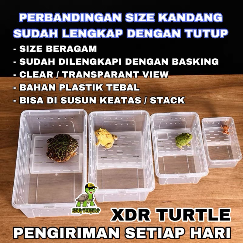 BOX KANDANG BASKING REPTIL PACMAN ISOPOD TARANTULA KADAL ULAR