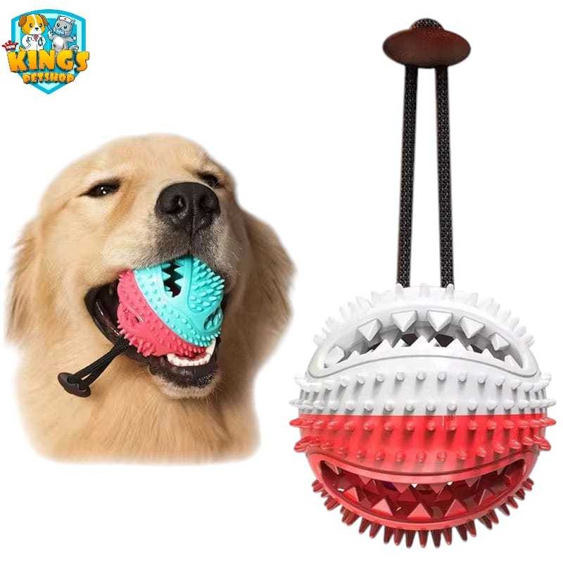 

MAINAN HEWAN/INDEPENDENT MOLAR BITE