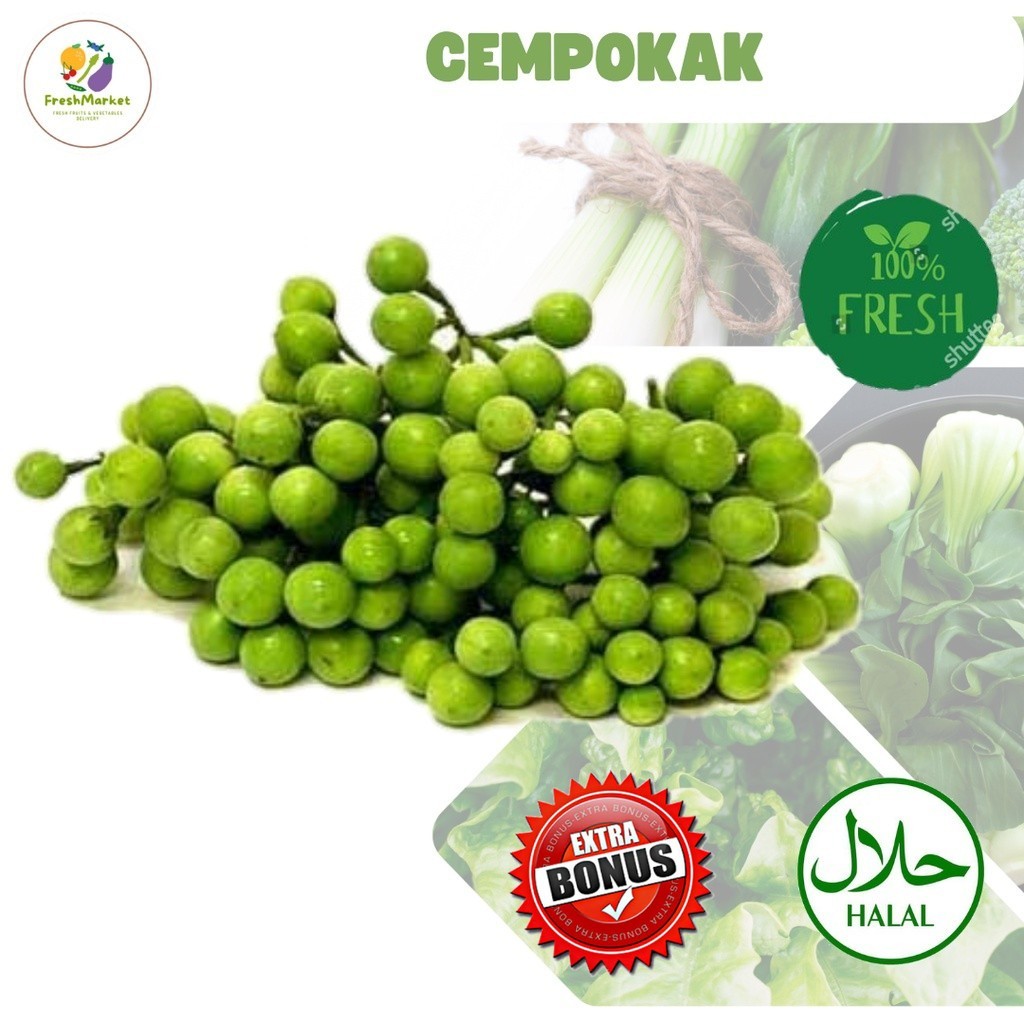 

Cempokak Sayur Lalap Segar 250 Gram Sayurinstant