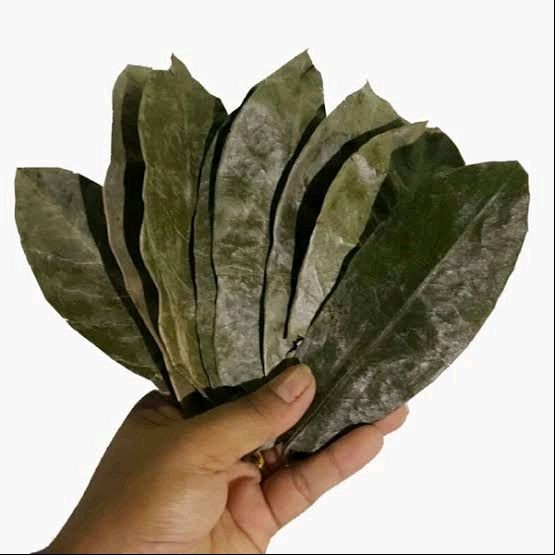 

Daun Sirsak Kering 500 Gram Asli Organik