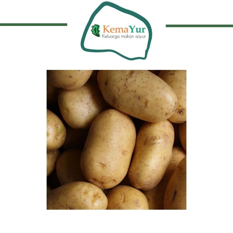 

KENTANG GROSIR MURAH 1KG