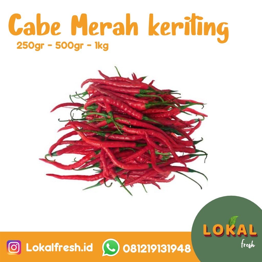 

Paket Cabe merah keriting 250gr/500gr/1kg