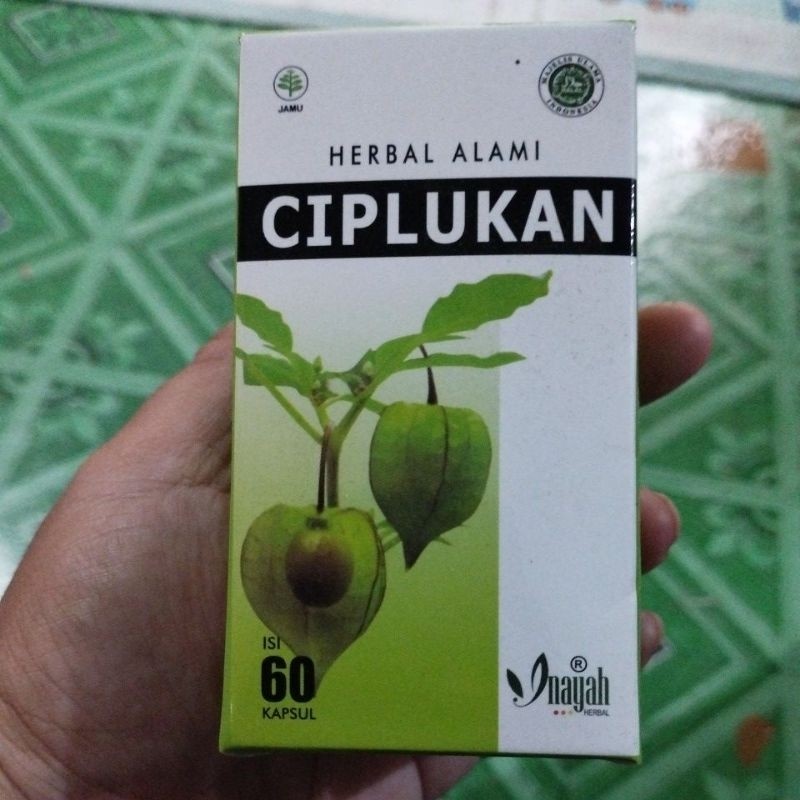 kapsul ciplukan by AuraShop79