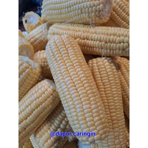 

Jagung Manis segar Bandung