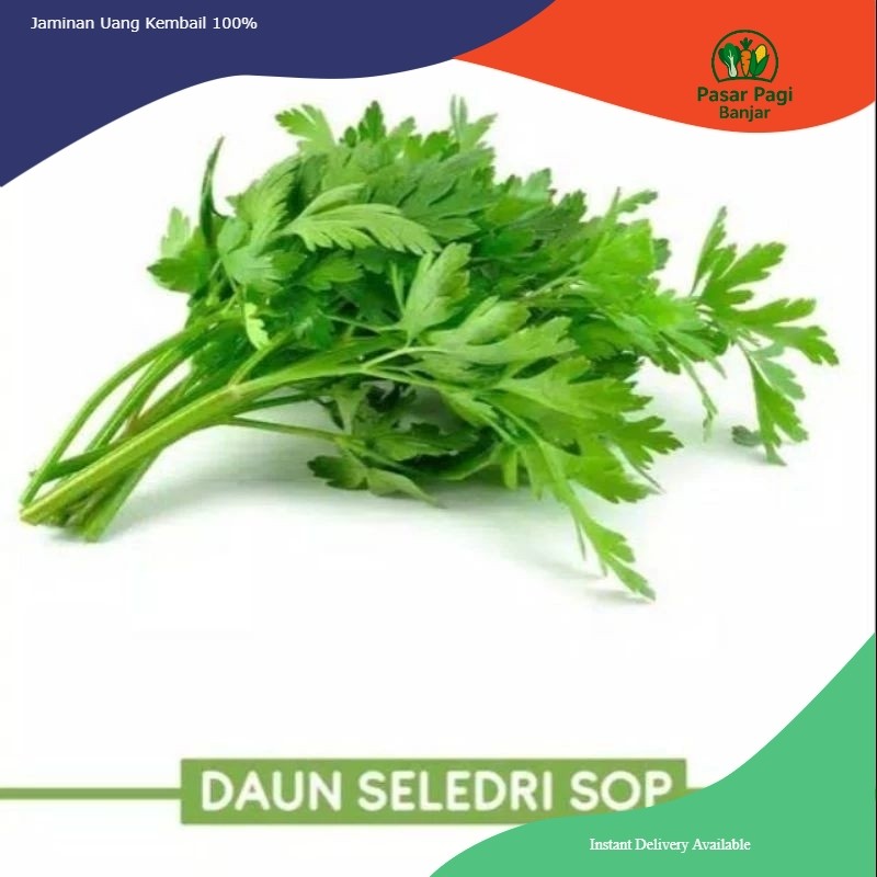 

daun SOP per ikat kecil