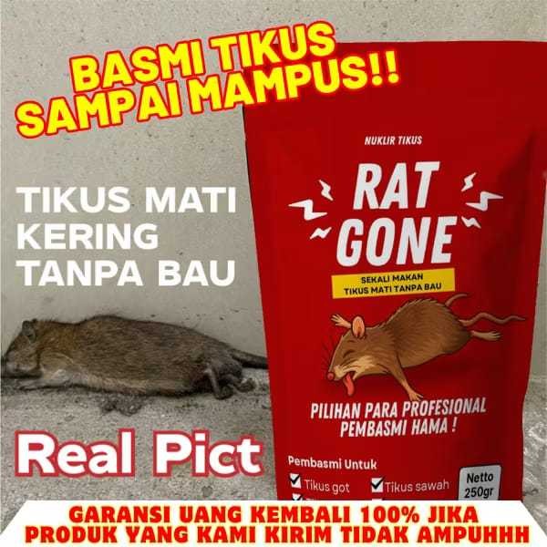 Racun Pembasmi Tikus Mati Kering Tanpa Bau