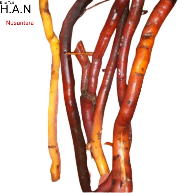 

Akar pohon kelapa segar 500gram herbal organik