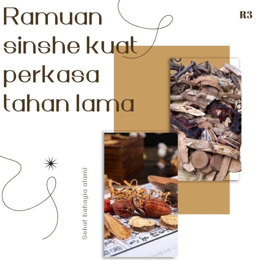 

kuat perkasa tahan lama ramuan sinse sinshe racikan Tiongkok herbal tradisional