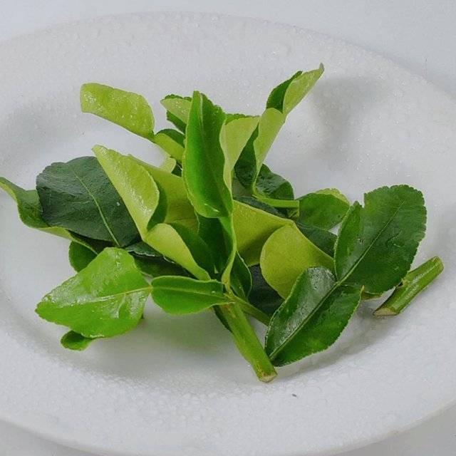 

Daun Jeruk