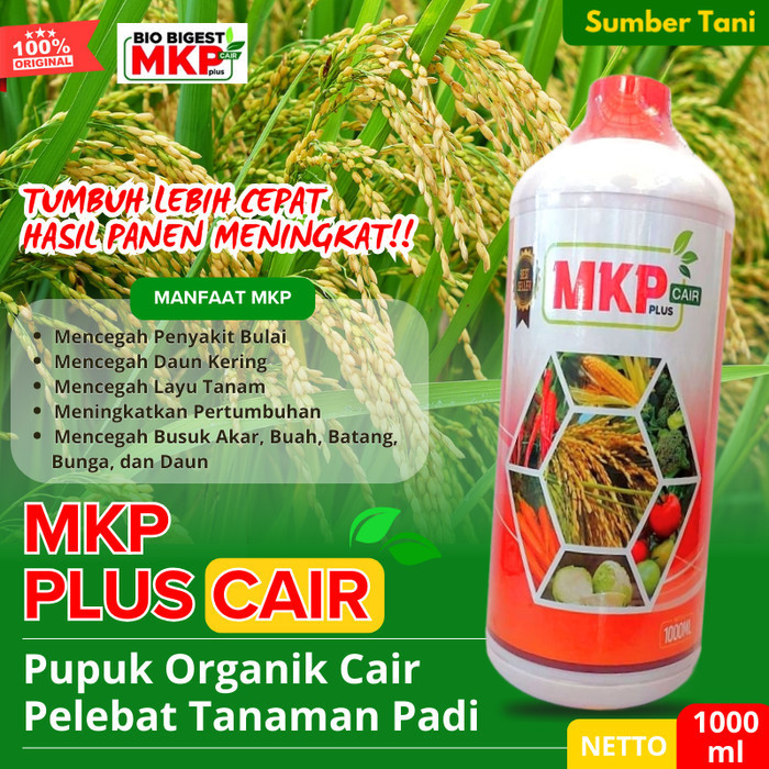 SUTAN Pupuk Padi Semprot Pelebat Buah Padi Pupuk Organik Cair Pelebat Padi