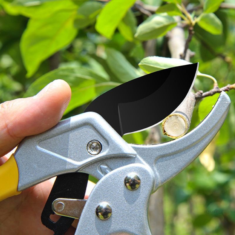 

COD⭐⭐Ratchet Pruning Shears Scissors - Gunting Taman, Dahan Ranting Tanaman-Taman Pemangkasan Gunting Pemotong Baja Karbon Tinggi Tanaman Berkebun Gunting Cabang Pemangkas Pemangkas Alat Grosir