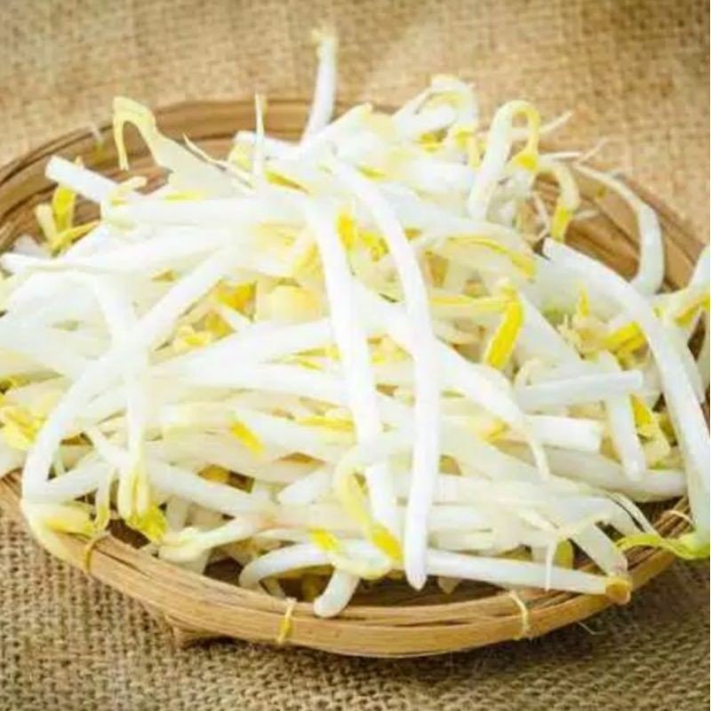 

Sayur Toge / Tauge Panjang 250 g