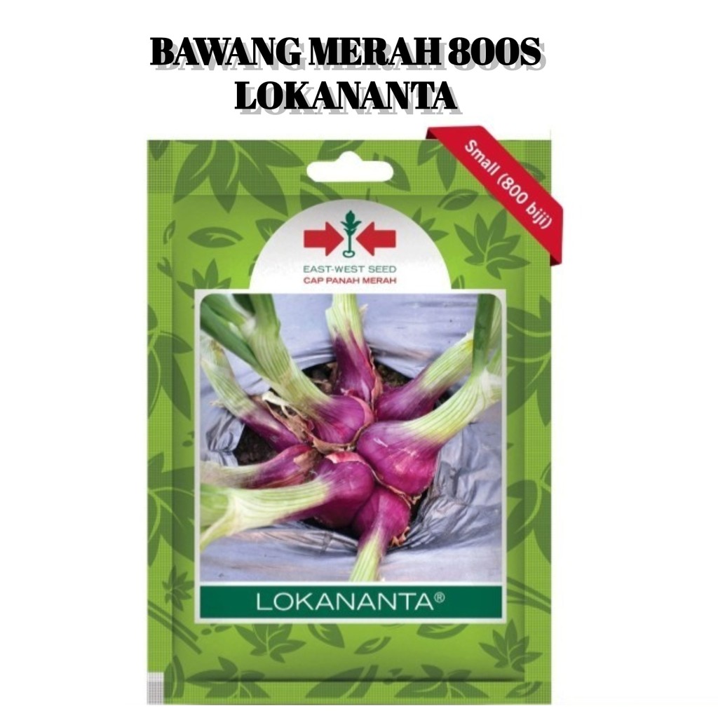 Benih Bibit Bawang Merah Lokananta 800 Biji Sayuran Cap Panah Merah