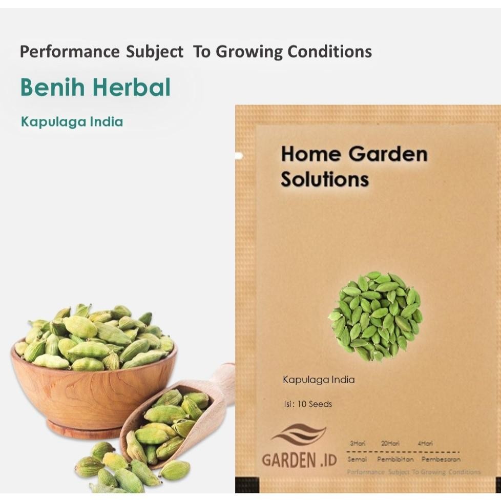 Bibit Benih Herbal Kapulaga Kapulogo India Isi 10 Biji Fress Seed Mudah Tumbuh