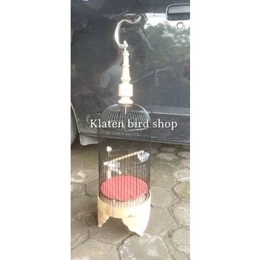 GT65R kandang / sangkar pleci helopet full set tebok kayu