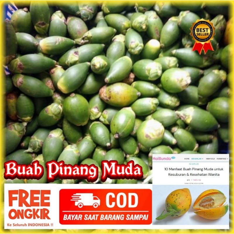 

Buah Pinang Muda Segar 1 Kg Kualitas Herbal