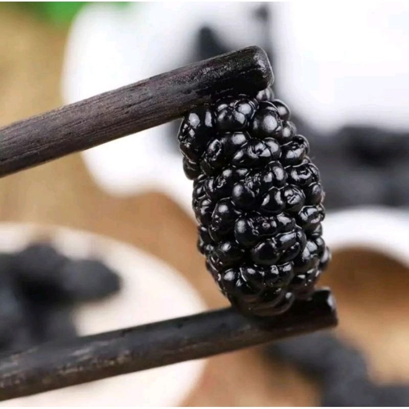 

buah kering MULBERRY ORGANIC / DRIED MULBERRY