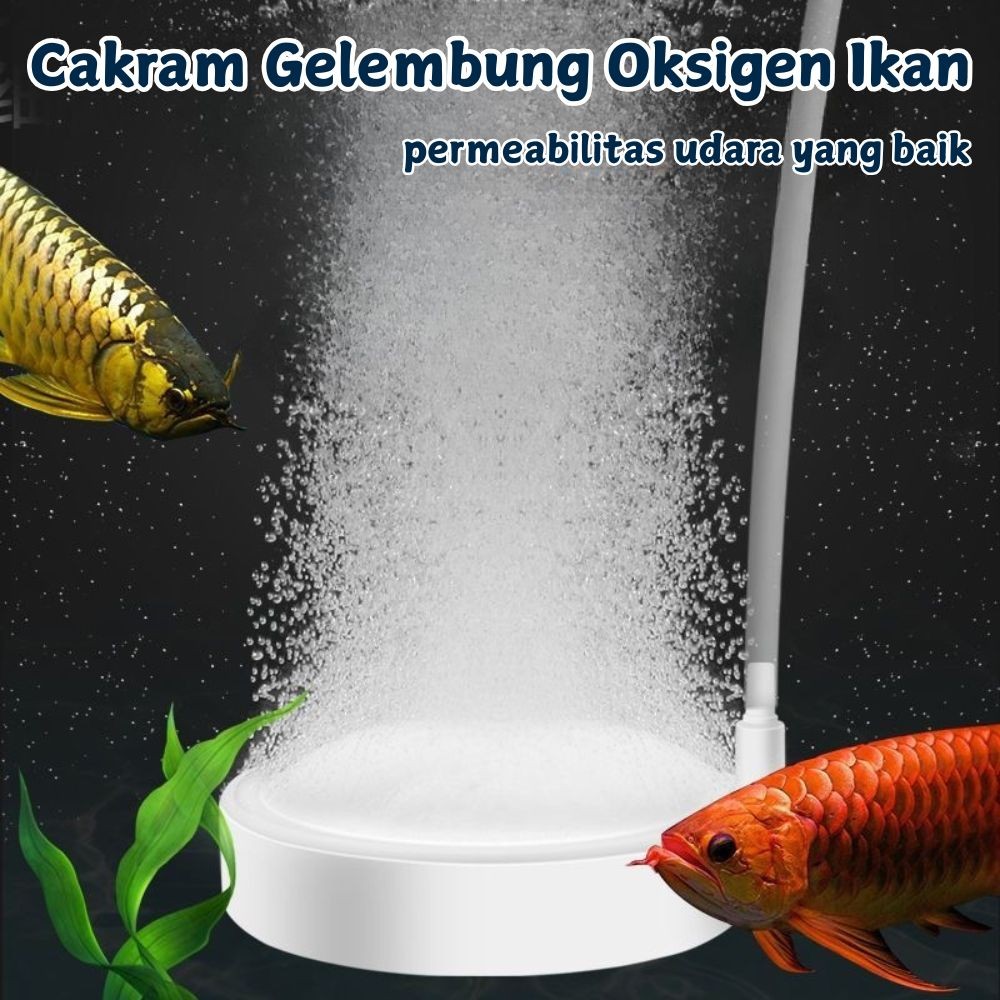 ikan kolam oksigen gelembung nano aerasi Batu Nano fine batu gelembung oksigen