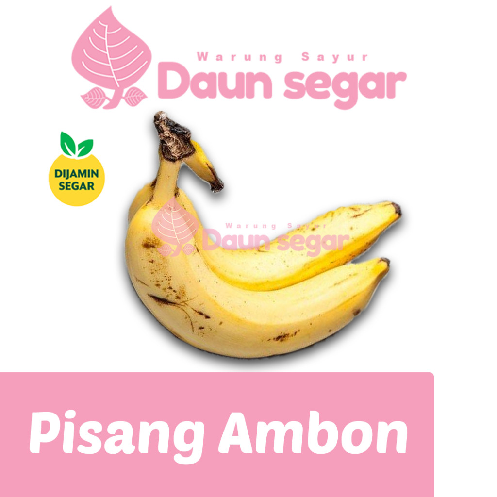 

Pisang Ambon Segar Fresh Pisang Ambon Kuning Super 2 buah