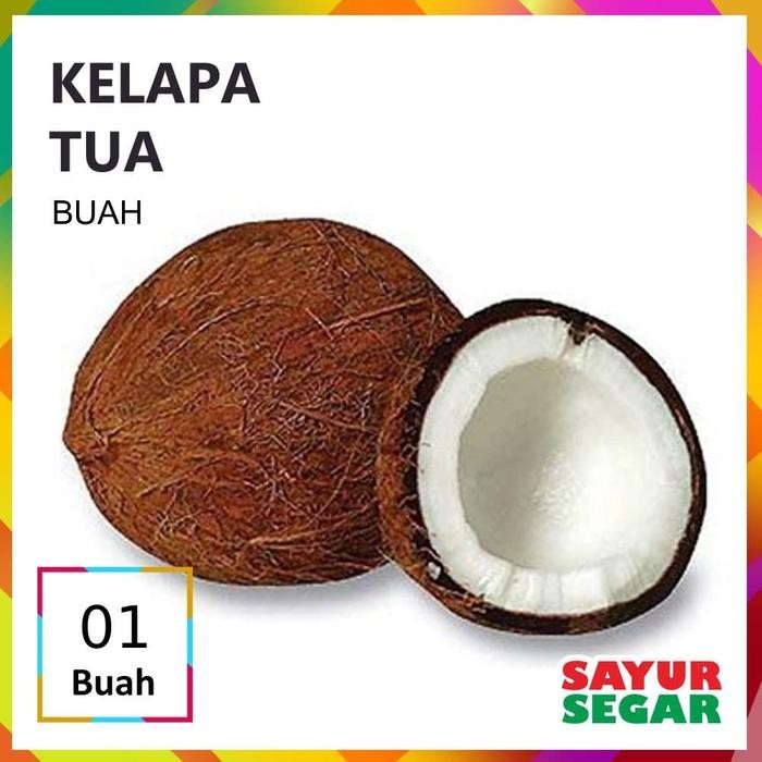 

KELAPA TUA [1 Butir] FRESH SIAP MASAK
