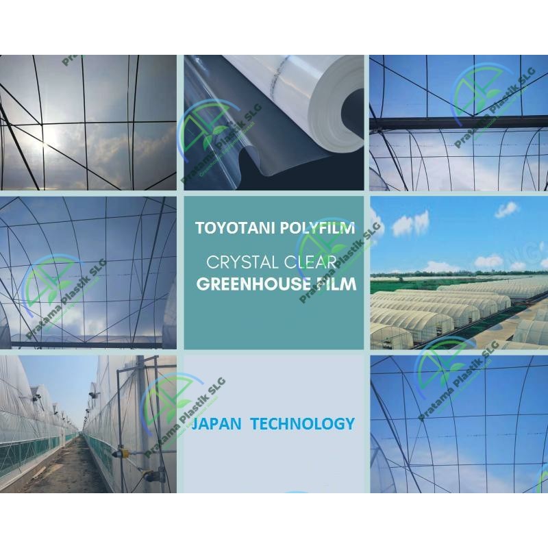 Plastik UV Toyotani Import Taiwan Lebar 12 Meter x 50 Meter