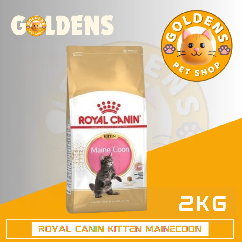 Royal Canin Maine Coon Kitten 2kg
