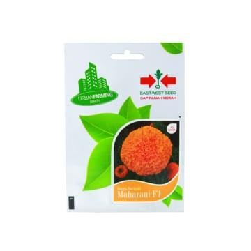 Panah Merah Benih Bunga Marigold Maharani