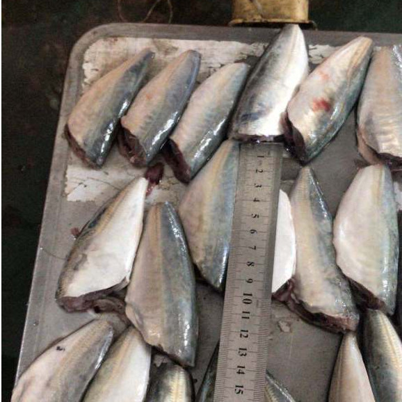 Ikan Segar 1Kg Ikan Layang HGT Ikan Layang Salem Segar