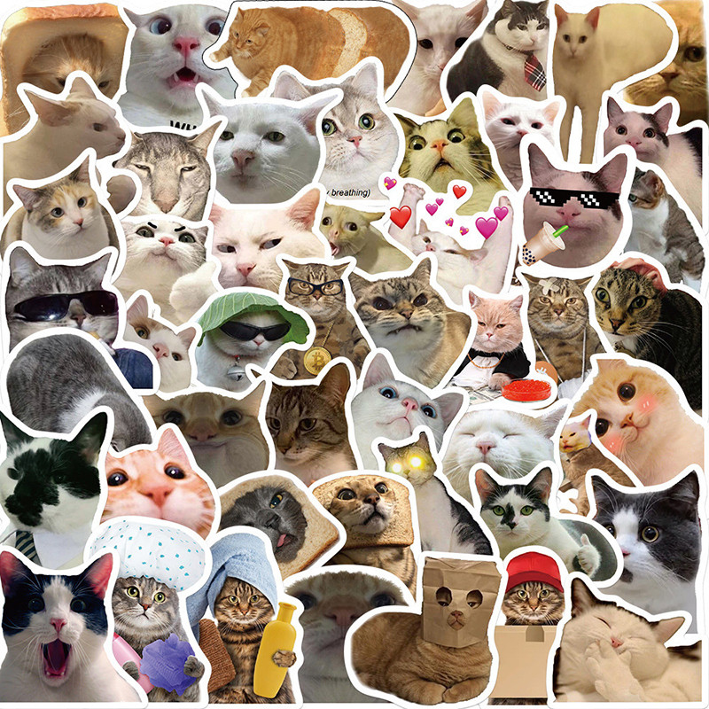 

10/50/100pcs Funny Cat MEME Stickers Kawaii for DIY Decor Stationery Suitcase Water Bottle Phone Laptops Skateboard Scrapbooking