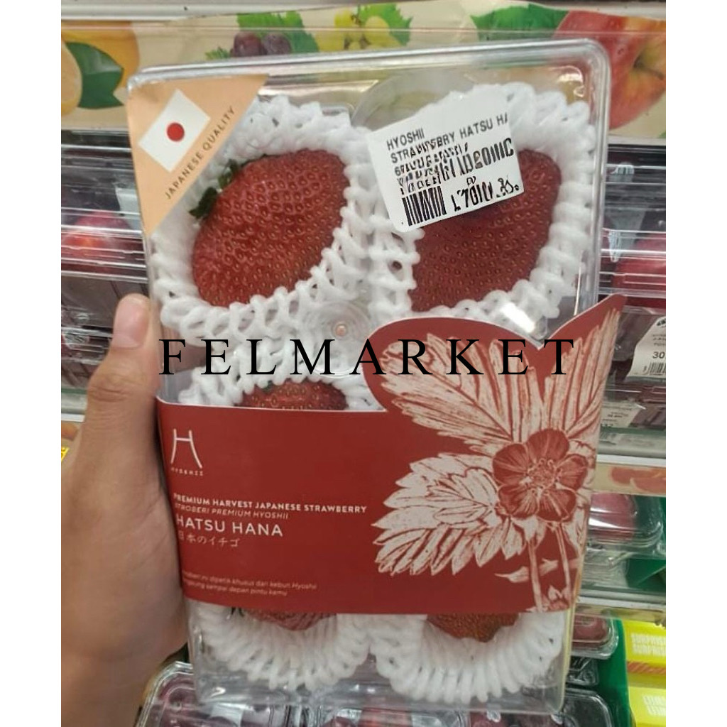 

Strawberry Hatsu Hana Japanese / Buah Strawberry Bibit Jepang / Pack
